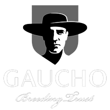 Logo Gaucho